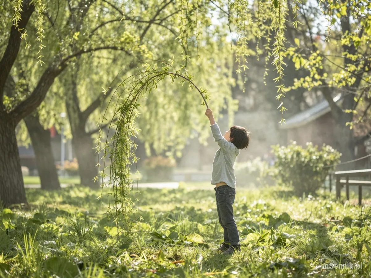 Interpretacja snu: Elastyczność - scenariusz z życia codziennego