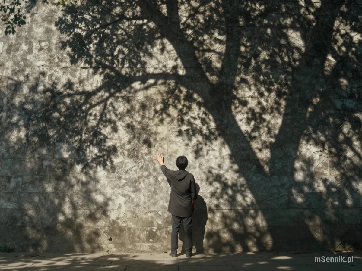 Interpretacja snu: Mur - scenariusz z życia codziennego