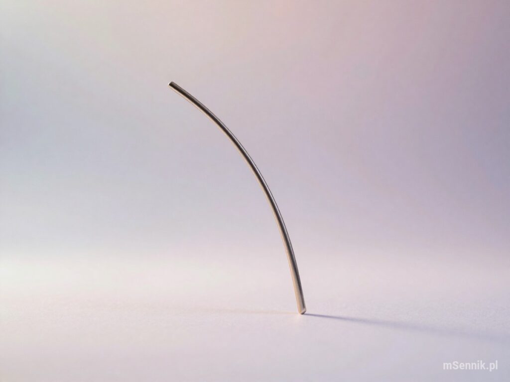 Sennik Spinka - znaczenie snu